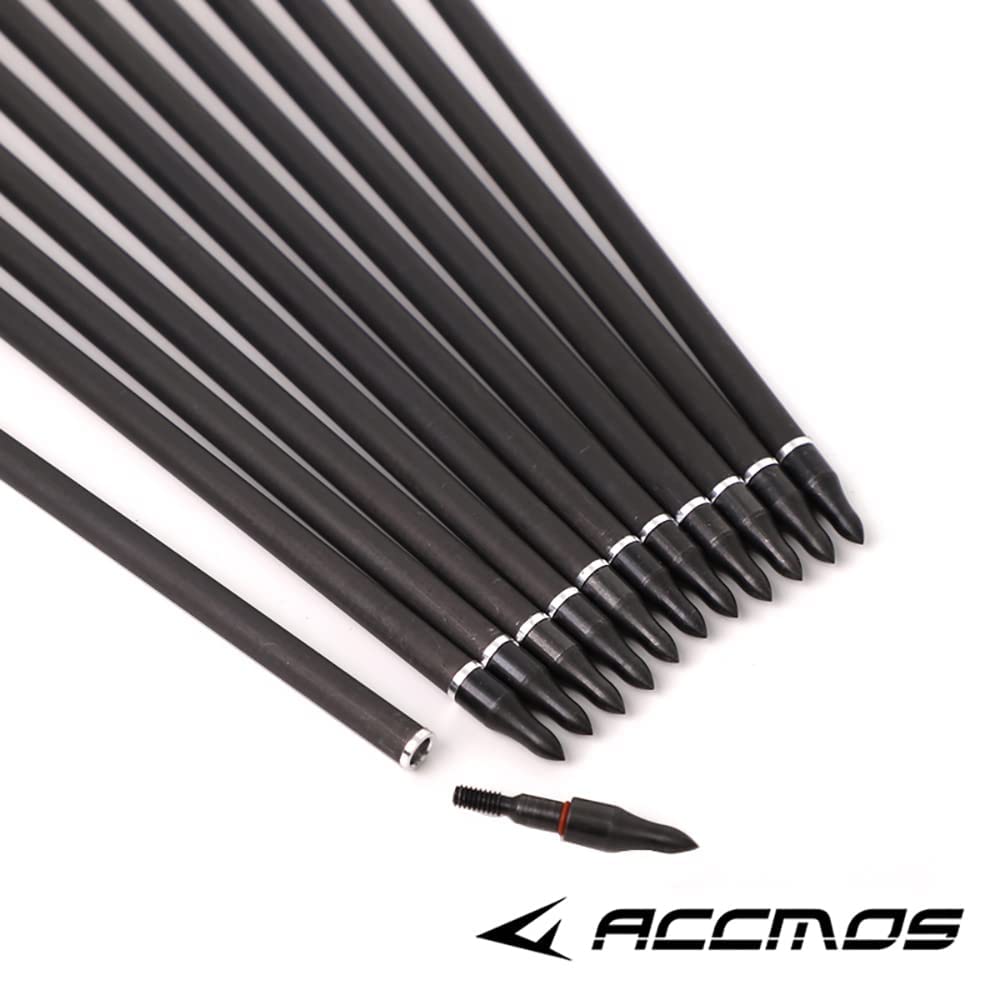 Flèches en carbone pur 400, 12 pièces, colonne vertébrale, longueur 30