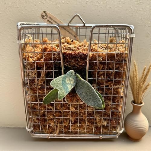 Fougère Staghorn kit de montage durable avec panier à orchidées vertical aéré - 4