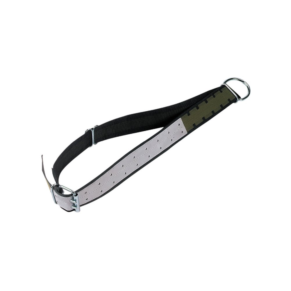 Kerbl Collar Solo de 7 cm, 170 cm, con Cadena Ovalada y Anillo en D