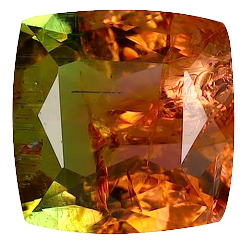Tourmaline pastèque non traitée, le cadeau précieux idéal et intemporel