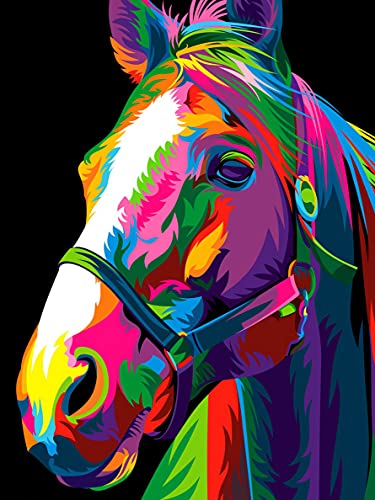 Yeerum DIY 5D Diamond Painting Cheval Complet Accessoires, Animal Broderie Peinture Diamant Painting Kit Complet Point De Croix Cristal Strass Décoration De La Maison 30x40 cm Taille unique Cover