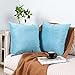 ESIPOSS Fundas de cojín, Fundas de cojín de Terciopelo, Fundas de Almohada cuadradas Suaves con Cremallera Invisible,45 x 45 cm, para Sala de Estar, sofá, Dormitorio (Cielo Azul)