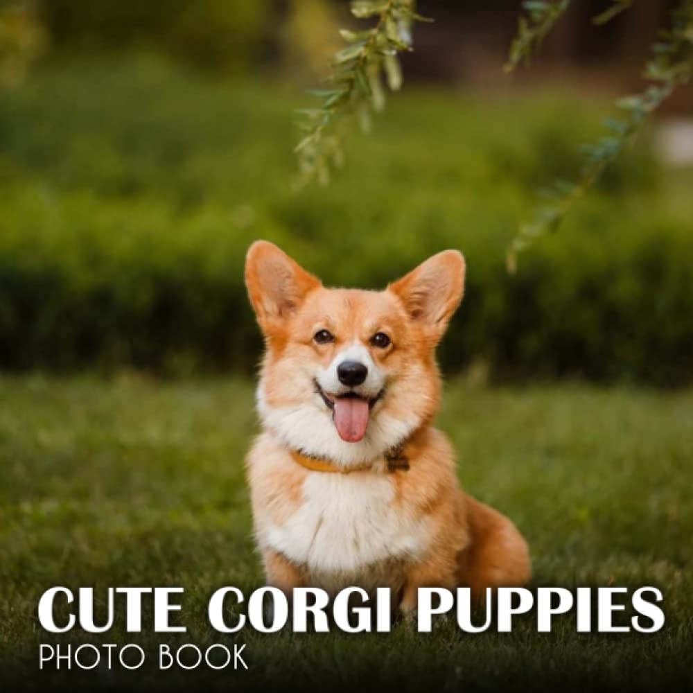 Cute Corgi Puppies Photobook: Photo Book Of Cute Corgi Puppies With 30+ Pictures, 2023 Photo Albums, Picture Book Birthday Christmas Gifts For Men Women Dad Mom