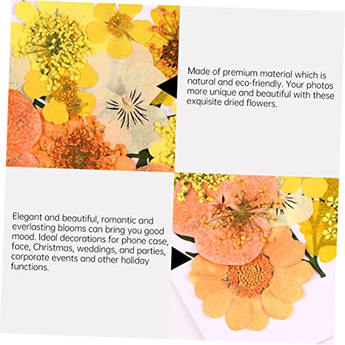 Kit flores secas naturales 40 piezas color naranja miniatura 3