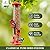 Kingsyard 2 Pack Tube Bird Feeders for Outdoors Hanging, Premium Hard Plastic Bird Feeder with 6 Feeding Ports, Weatherproof & Steel Hanger, Attracting for Wild Birds (Red)