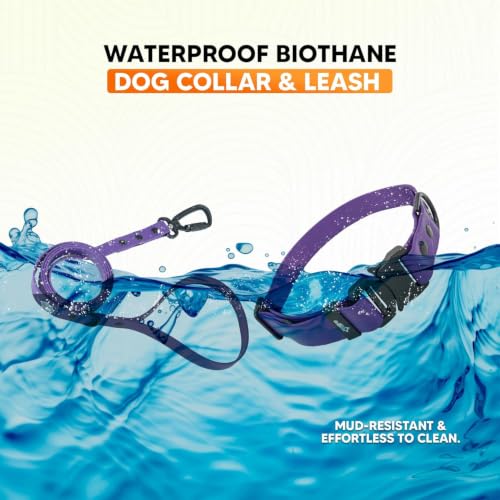 Image of Adil's Biothane Waterproof Dog Collar, Dog Leash & Collar Leash Combo | Heavy Duty TPU Coated Webbing | Adjustable Quick Release Buckle | Odour Resistant (Purple, M-18, Collar & Leash Combo)