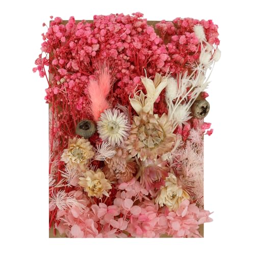 Dried Flowers For Crafts,White Dried Flowers,Pink Dried Flowers,Dried Pressed Flowers For Crafts,Mixed Diy Set For Arts & Crafts, Resin, Scrapbooking, Card Maki, Bookmarks