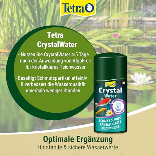 Tetra Pond AlgoFree Schwebealgen- und Fadenalgenvernichter, bekämpft langfristig grünes Wasser im Gartenteich, 250 ml
