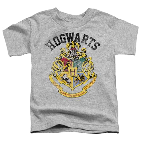 Harry Potter Distressed Hogwarts Crest Kids T Shirt for Youth Toddler Boys and Girls2