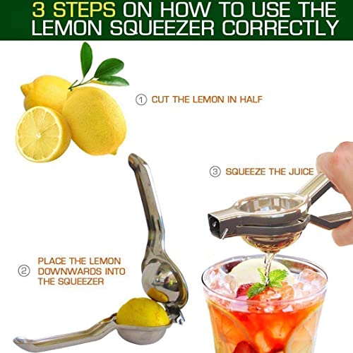Image of Oc9 Stainless Steel Lemon Squeezer & Egg Whisk & Potato Masher for Kitchen Tool Set