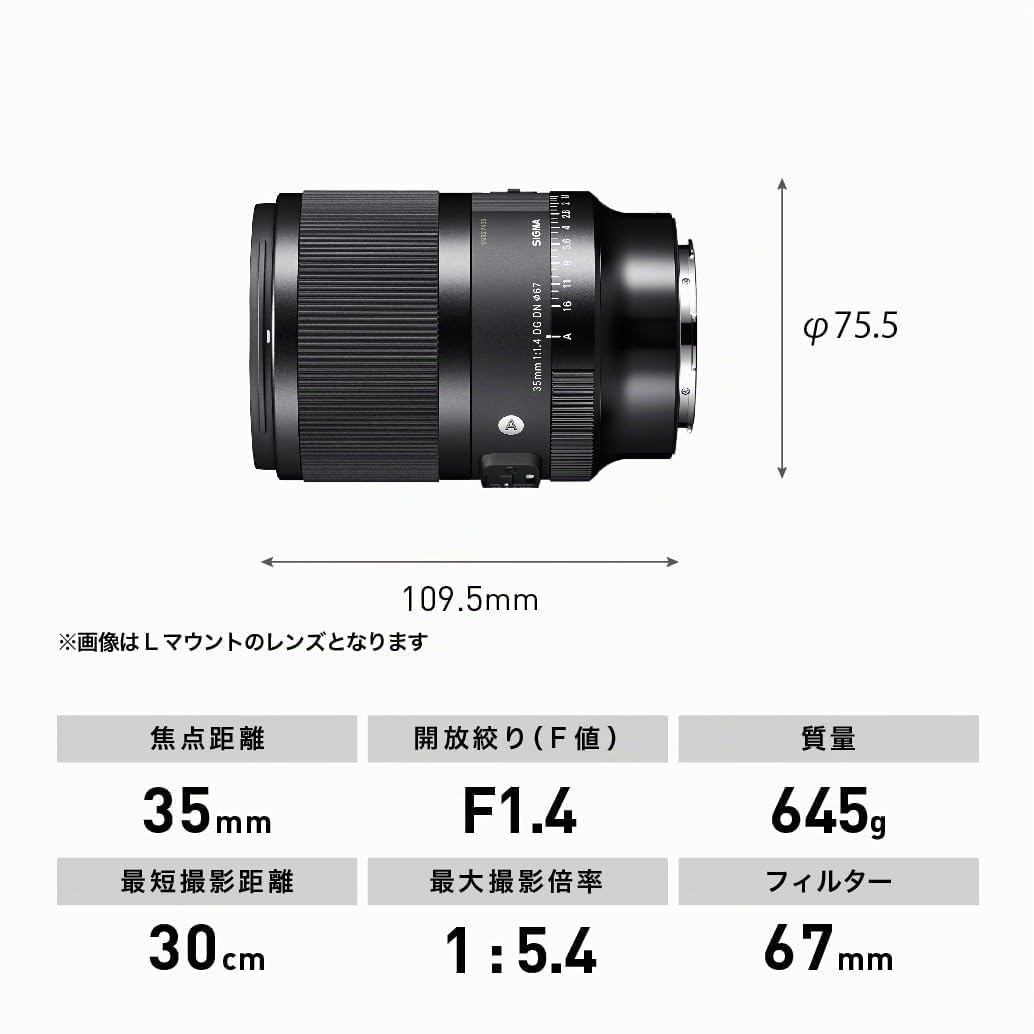 Sigma 35mm F1.4 DG DN (A) para Sony e, Negro : Amazon.es