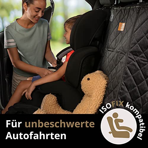 AMZPET ISOFIX Hunde-Autositzbezug - Wasserfest, Kratzfest, rutschfest, Abwaschbar (133 x 56 cm)
