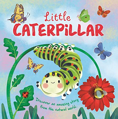 Image of Nature Stories: Little Caterpillar: Discover Amazing Story from the Natural World! Padded Board Book