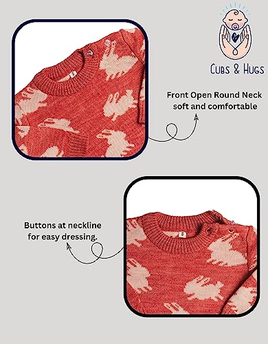 Image of CUBS & HUGS Full Sleeves Baby Woolen Sweater Pullover Cardigan