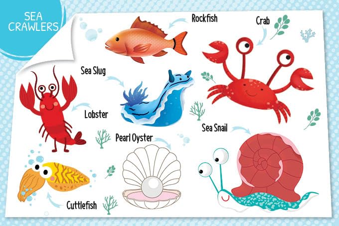 Image of Booktopus Mini Board Book - My First 100 Things Under The Sea - Early Learning Books for Kids - Picture Books for Baby 4+ Years (My First Mini Board Book)