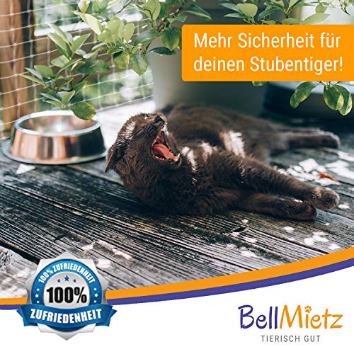 Balkonkatzennetz BellMietz für Balkon und Fenster