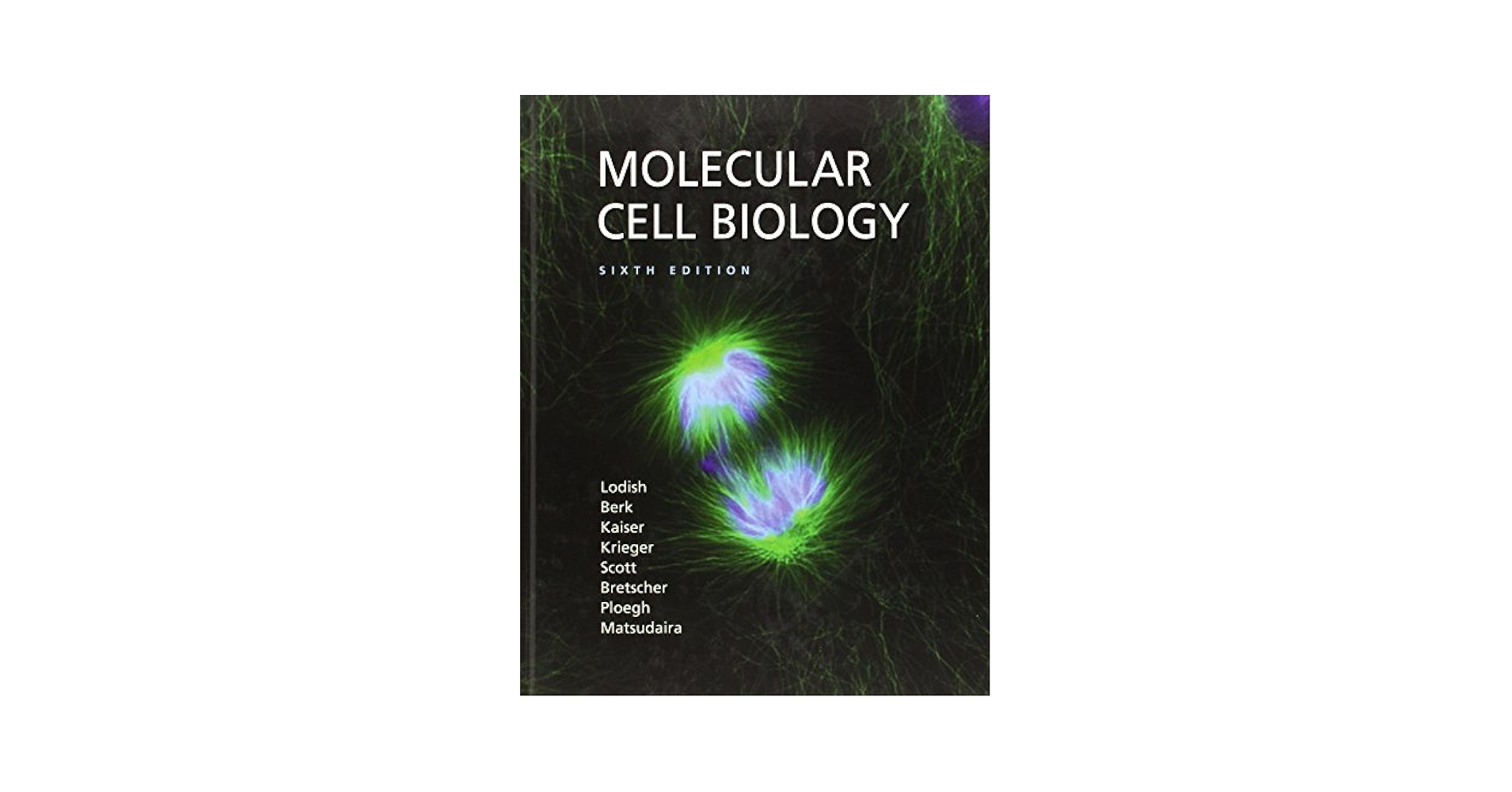 Molecular Biology of THE CELL 第6版 細胞の分子生物学 第6版 | ALBERTS, JOHNSON, LEWIS, MORGAN