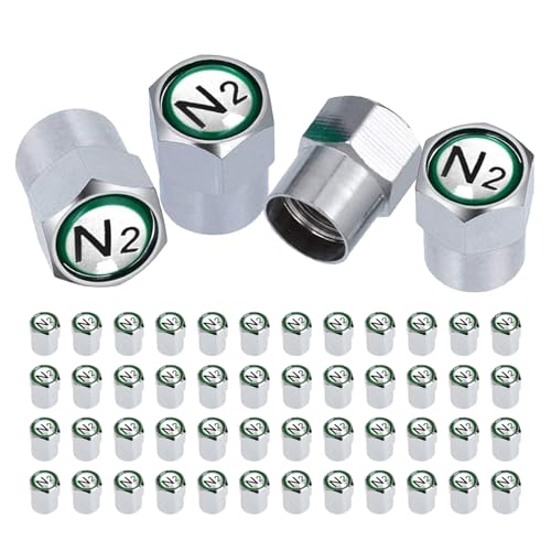 STAYOUNG 50PCS Tapones de Válvula - Tapones Antipolvo para Válvulas de Neumáticos, Latón Cromado, con Símbolo de Nitrógeno N2, para Coches, Motos,...