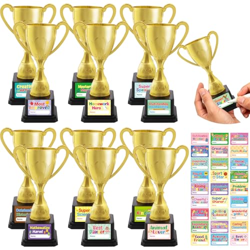 Mini trophées en plastique Ceiba Tree avec certificats pour récompense d'élèves