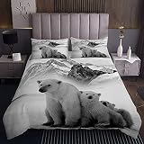 Homewish Polar Bear Coverlet Set, Arctic Scenery - Colcha acolchada para cama king size, diseño de Iceberg natural para niños y adultos, juego de ropa de cama para sala de estar, gris y blanco