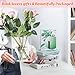Book-Shaped Vase for Flowers, Book Lovers Gifts, Aesthetic Room Decor Cute Flowers Vases & Must-Have for Home, Bookshelf, Bedroom & Office Decor for Women & Teacher Gift - Like Mothers Day (Clear)