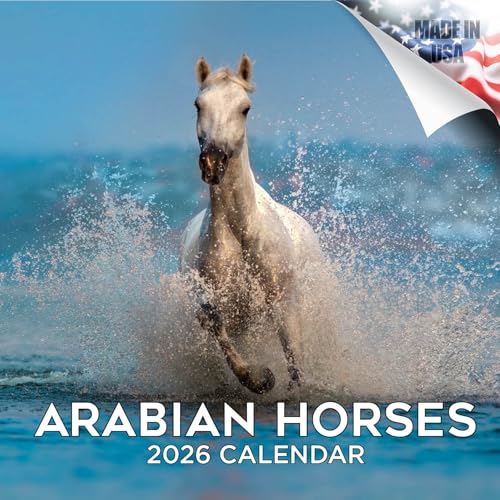 2026 Arabian Horses Calendar - Equestrian Monthly Wall Calendar, 16 Month 12x24 Wildlife Planner, Thick No-Bleed Paper, Large Grid, Giftable Animal Calendar for Teachers, Home, Office, Made in USA