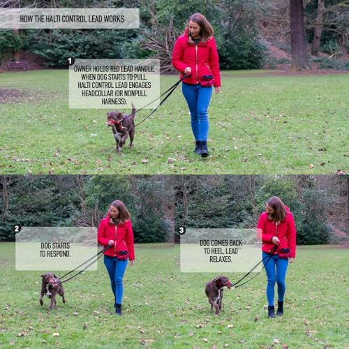 HALTI Control Hundeleine, Größe Groß, Schwarz, 2 m - mit 2 Griffen, die Sie beim Training lhres Hundes und beim Gassi gehen unterstützen, mit Neopren gepolsterte Hundeleine, Für Welpen geeignet