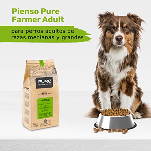 Avantis Pure Farmer Adult Futter für Erwachsene Hunde mittlerer und großer Rassen, 2 kg, 100% vollständiges und ausgewogenes Futter – sehr verdaulich mit Lamm