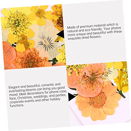 Flores naturales secas naranja, 40 piezas para decoración miniatura 6