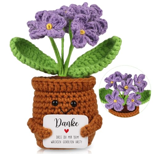WenmthG Kleines Dankeschön Geschenk Glücksbringer Gehäkelte Lila Blume für Frauen Freunde Kollegen Abschied Ruhestand Weihnachts Papa Mama Oma Opa Pocket Hug Blume Positive Kartoffel Deutsch Ersatz