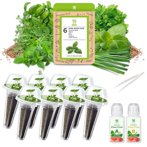 Herb Seed Pod Kit With Basil Mint Thyme Mixed, Grow