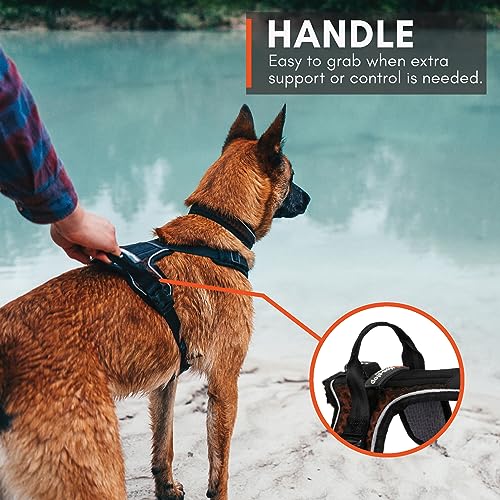 Non-Stop dogwear Rock Harness |130| Führ und Alltagsgeschirr, Größe:L