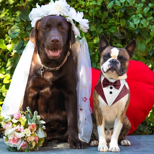 Hund Smoking Bandana Halsband, Verstellbar Haustier Fliege Bandana Haustier Hochzeitshalstuch mit Fliege für Hochzeit Geburtstag Weihnachten