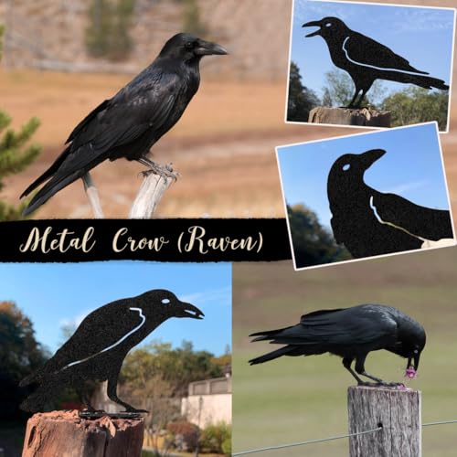 5-Count OULYDEKO Metal Raven Crow Fence Topper Garden Statues (Black) - image 5