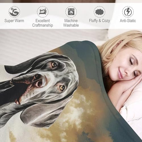 Manta de franela para perro 150x200 cm suave y cálida para el sofá 4