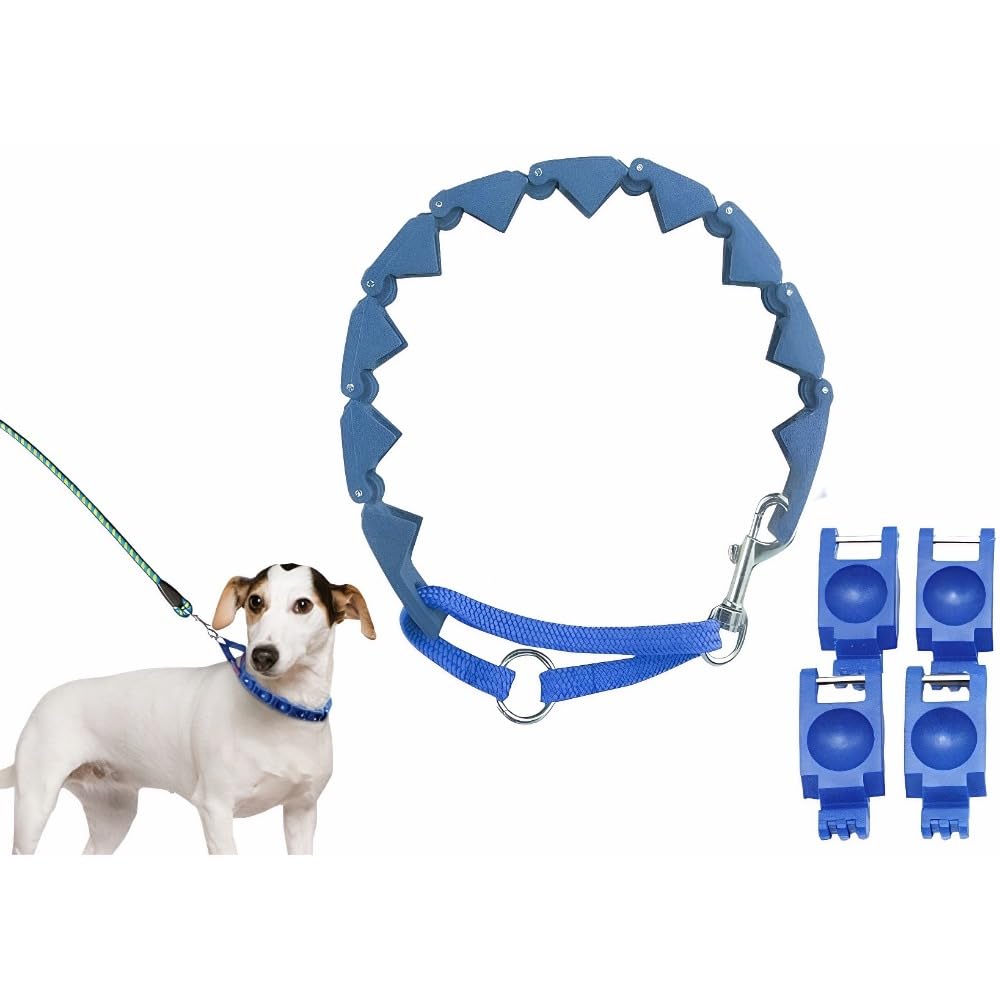 Collier de dressage réglable pour grands chiens - Accessoire d'éducation canine grand gabarit
