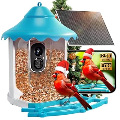 CINMOORE No-Monthly-Fees Solar Bird Feeder w/ 4...