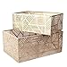 Home Deco Factory RG6250 Metall-Korb, durchbrochenes Design, goldfarben, Streifen, zur Aufbewahrung, Dekoration, Übertopf, 2 Stück, Kunststoff – Polypropylen, 12 x 25 x 17 cm