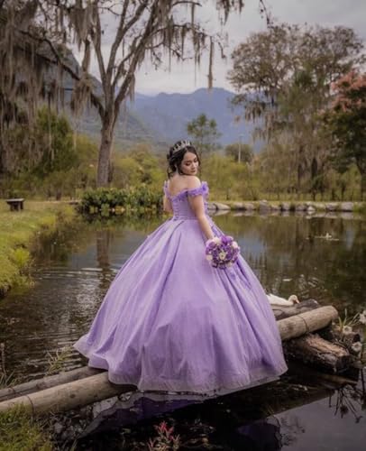 Long Prom Dress Off The Shoulder Quinceanera Dresses Ball Gown Tulle 3D Hand Made Flowers Sweet 16 Dresses2