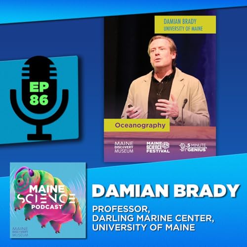 Damian Brady (oceanography)