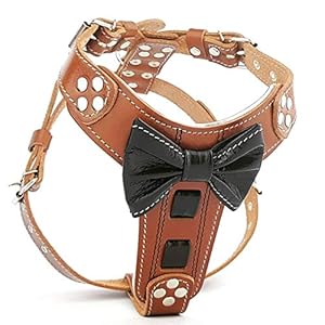 Bestia-Bowtie-Leather-Dog-Harness-100-Leather-Padded-Chest-Plate-Hand-Made-in-Europe Leather Dog Harness with Chest Plate