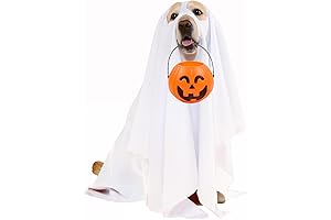 Halloween Ghost Dog Costume Set