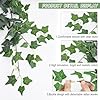 Guirlandes De Lierre Artificiel - Lot De 6, Longueur De 210Cm - Vignes