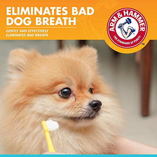 Image of Arm & Hammer for Pets Fresh Breath Enzymatic Dog Toothpaste, Vanilla Ginger Flavor, Safe for Puppies and Adult Dogs, Daily Baking Soda Dental Gel to Eliminate Bad Breath, 2.5 Oz - 72 Pack