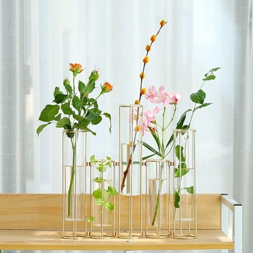 Hyuetrsa HYUETRSA-1 Test Tube Vase For Flowers Set Of 5 thumb #5