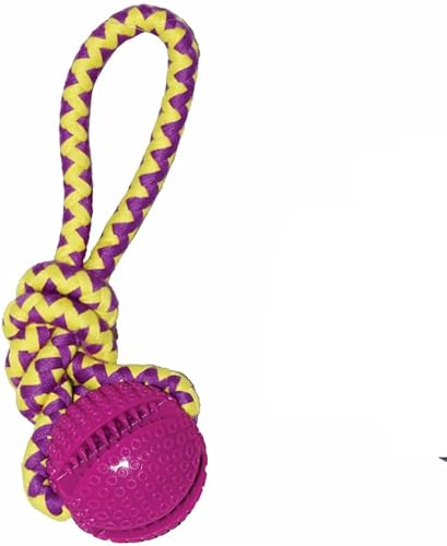 DARO Treat Ball with Rope 2.6" | Interactive TPR Chew Toy & Treat Dispenser | Durable Rope Tug Toy for Dogs | Dental Care, Teeth Cleaning & Mental Stimulation | Fetch, Tug & Chew Play