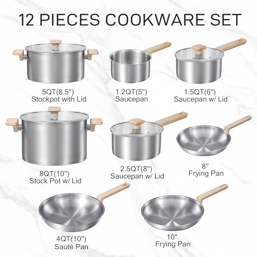 CAROTE 12-Piece Stainless Steel Cookware Set, Induction Compatible with Stay-Cool Handles & Tempered Glass Lids, Silver