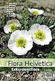 Flora Helvetica - Exkursionsflora - Stefan Eggenberg, Christophe Bornand, Philippe Juillerat, Michael Jutzi, Adrian Möhl, Reto Nyffeler, Helder Santiago 