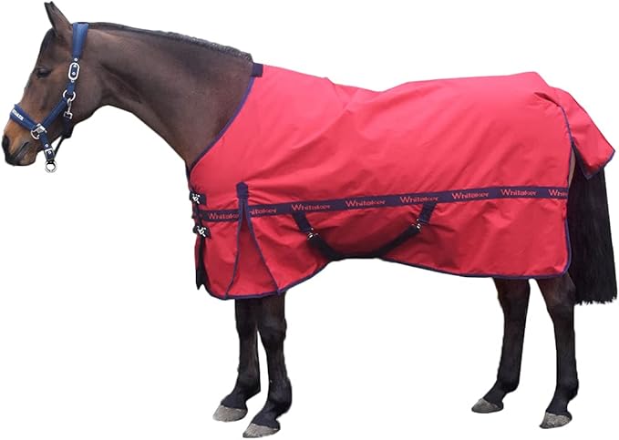 1886年 英国アンティーク 乗馬用ムチ ホースウィップ アントラー 50cm 1886年 英国アンティーク 乗馬用ムチ ホースウィップ アントラー