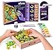 Produktbild OKTO Joy DIY 3D-Malerei, 21 x 21 cm, lufttrocknender Ton, ideal für Erwachsene und Kinder, perfekt für kreative Kunstprojekte und Heimdekoration